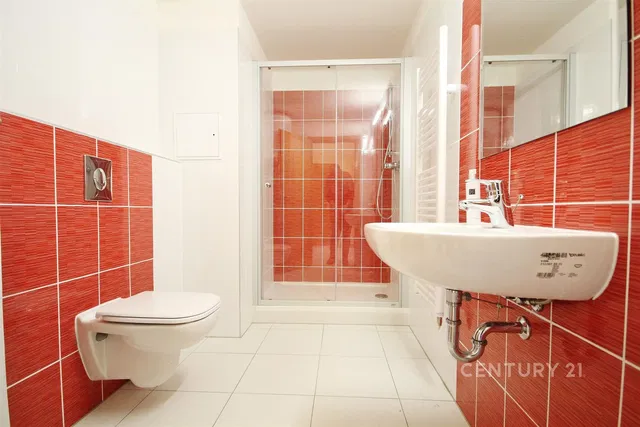 Kupaonica; pločice, renoviran, prirodna svjetlost, moderan stil