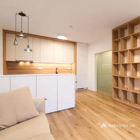 Living room; modern style, wood floor, natural light