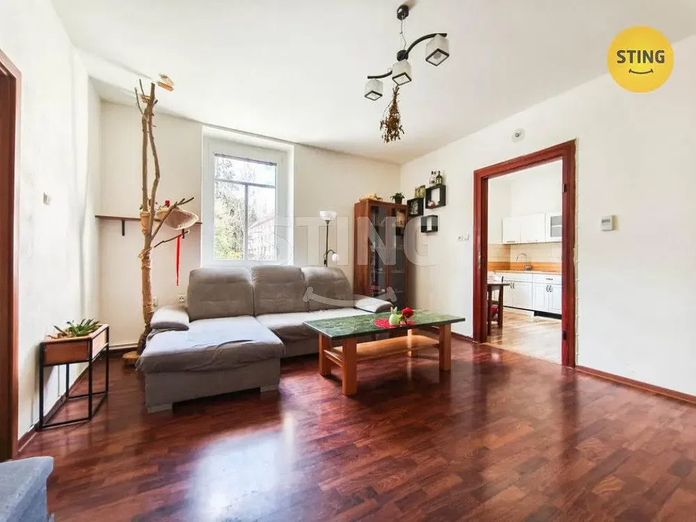 Obývací pokoj; přirozené světlo, dřevěná podlaha, moderní styl