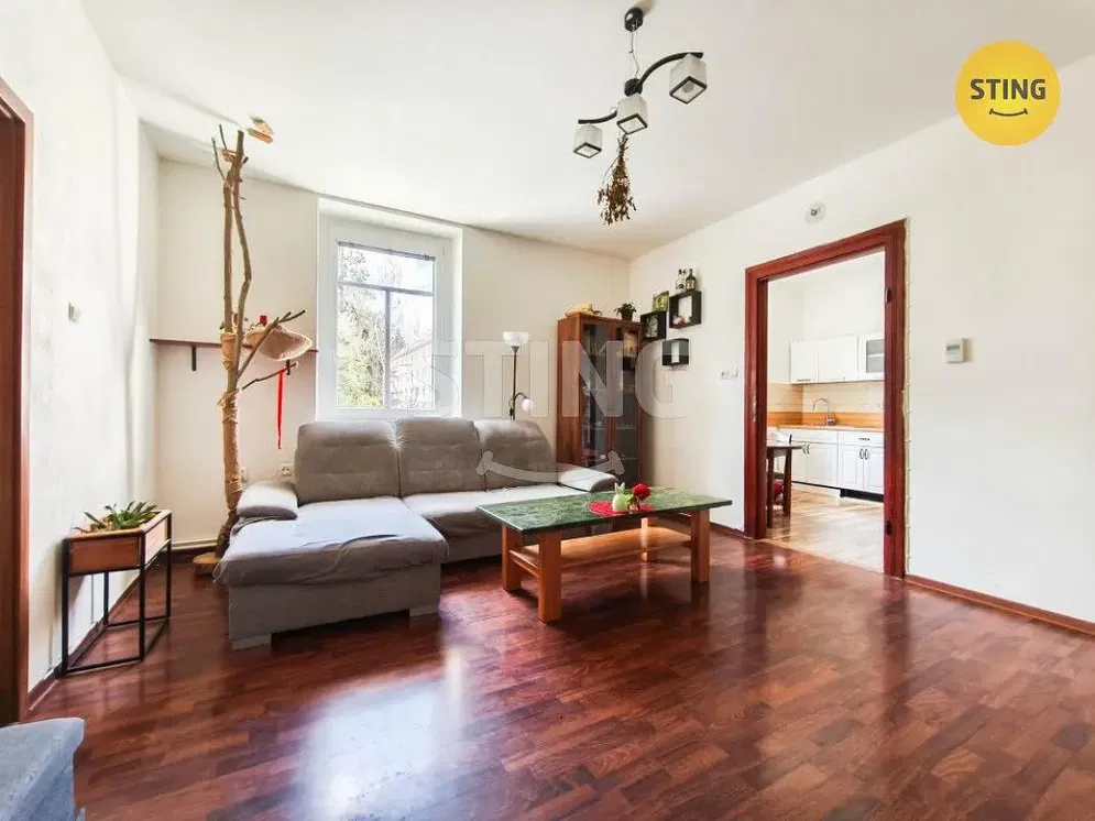 Obývací pokoj; přirozené světlo, dřevěná podlaha, moderní styl