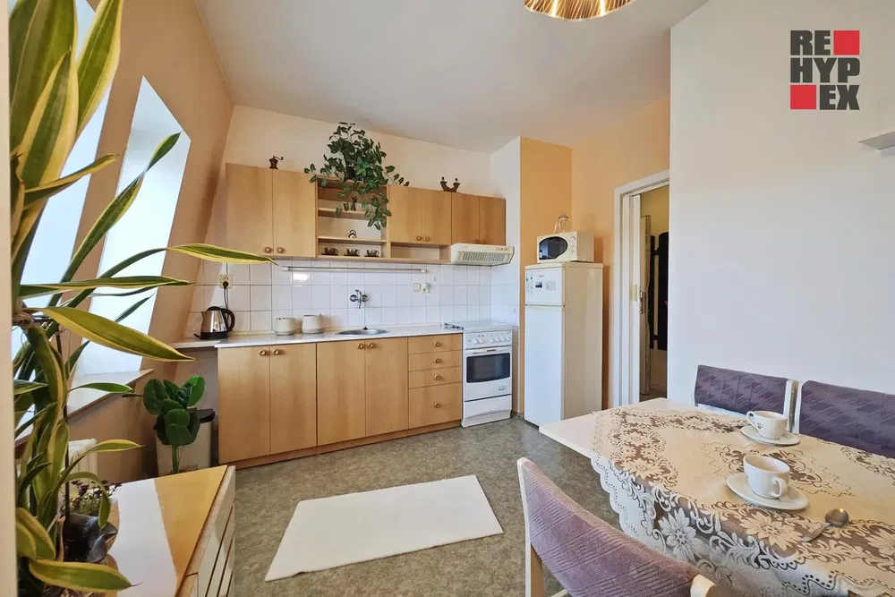 Kuchyně; kuchyňské spotřebiče, dlažba