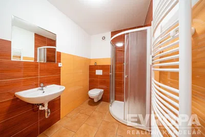Banyo; fayans zemin, tadilatlı, doğal ışık, modern stil