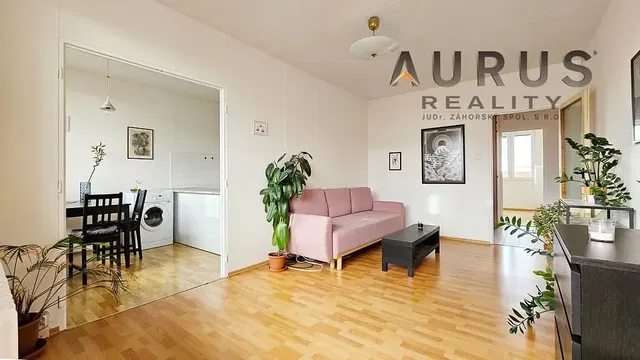 Living room; natural light, modern style