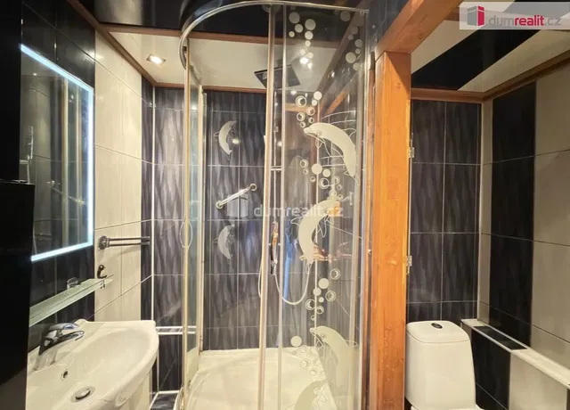 Banyo; fayans zemin, tadilatlı, doğal ışık, modern stil