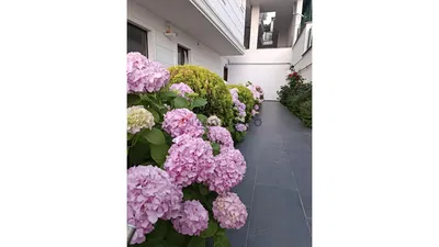 Кућа и околина; природно светло, поглед