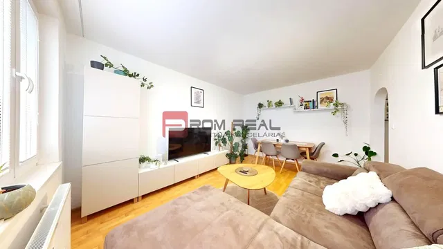 Living room; natural light, modern style, wood floor