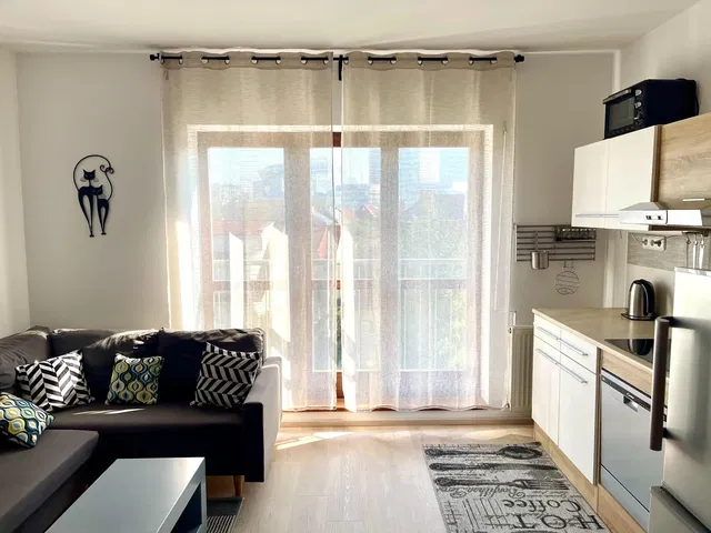 Salon; vue, lumière naturelle