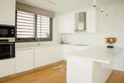 Cucina; elettrodomestici, luce naturale, stile moderno, pavimento in legno