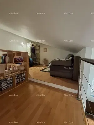 Salon; parquet, lumière naturelle