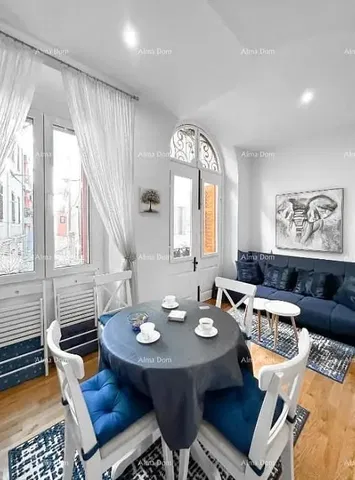 Living room; natural light, modern style