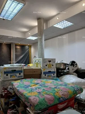 Spavaća soba; potrebna renovacija, prirodno svjetlo