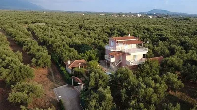 Дневна соба