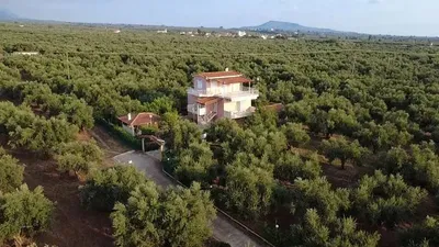 Дневна соба