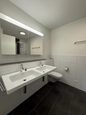 Toilette; fliesenboden, tageslicht