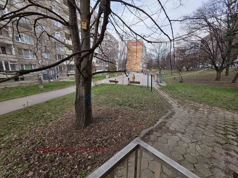 Кућа и околина; поглед