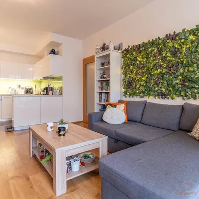 Oturma odası; doğal ışık, modern stil