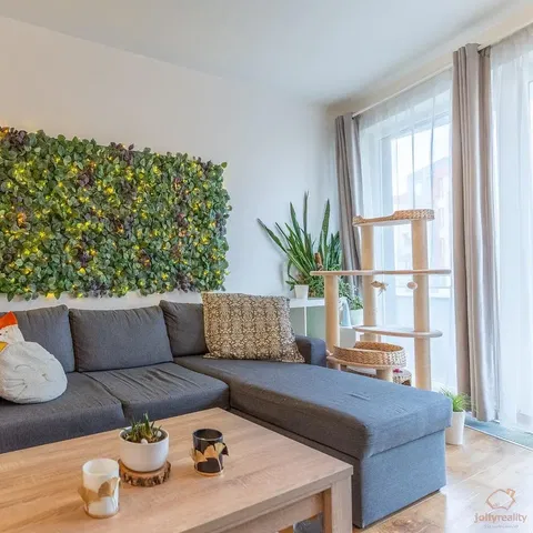 Wohnzimmer; tageslicht, moderner stil