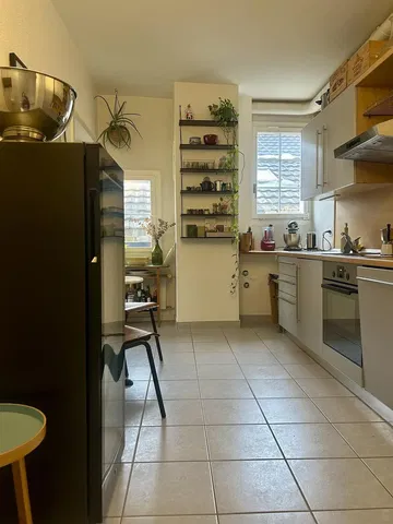 Kuhinja; kućanski aparati, pločice, prirodna svjetlost, moderan stil