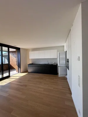 Kuhinja; kuhinjski aparati, prirodno svjetlo, drveni pod, moderni stil