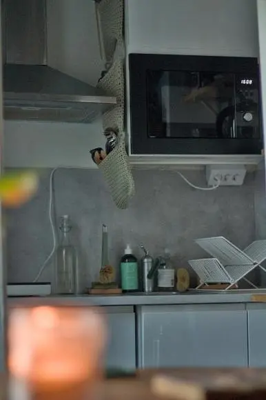 Küche; küchengeräte