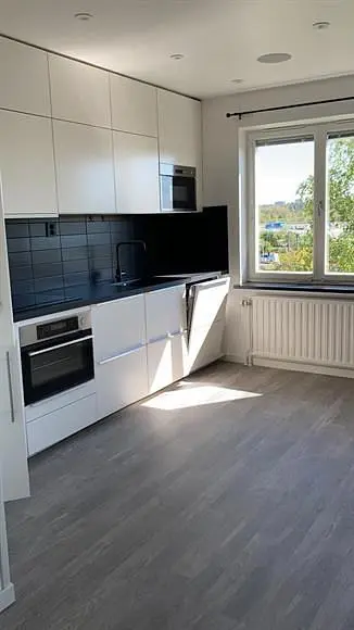 Cuisine; électroménager, lumière naturelle, vue, style moderne