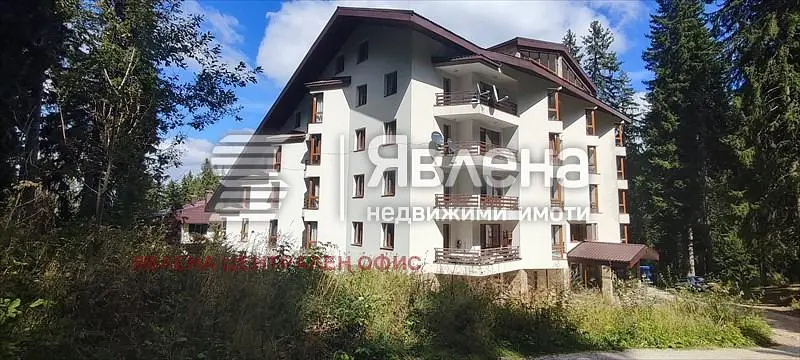 House and surroundings