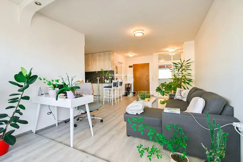Obývací pokoj; přirozené světlo, moderní styl, dřevěná podlaha