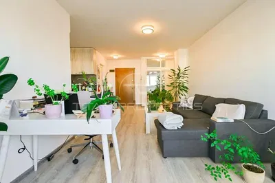 Obývací pokoj; přirozené světlo, moderní styl