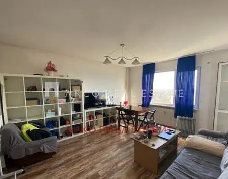 Salon; lumière naturelle, parquet