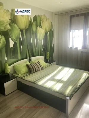 Chambre; lumière naturelle, style moderne