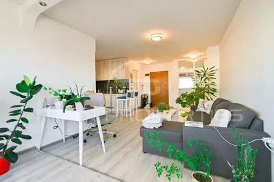 غرفة معيشة; ضوء طبيعي, أسلوب عصري, أرضية خشبية