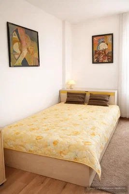Camera da letto; pavimento in legno, luce naturale