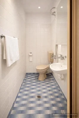 Toaleta; dlažba