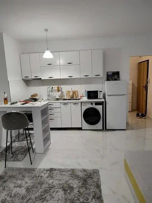 Cucina; elettrodomestici, pavimento in piastrelle, ristrutturato, luce naturale, stile moderno