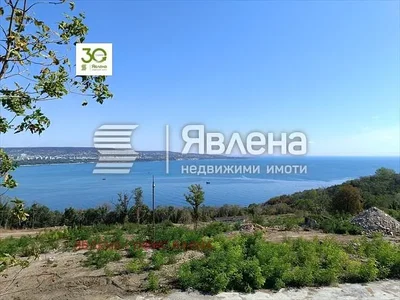 Kuća i okolina; pogled
