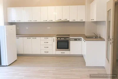 Cuisine; électroménager, rénové, lumière naturelle, style moderne