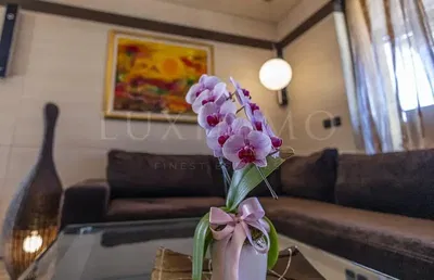 Oturma odası; modern stil, doğal ışık