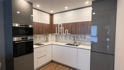 Kitchen; kitchen appliances, modern style