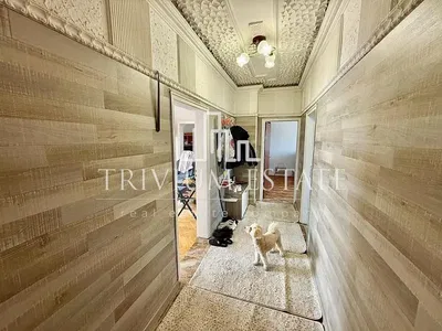 Garderoba; drveni pod, prirodna svjetlost