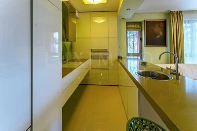 Kuhinja; kućanski aparati, moderan stil
