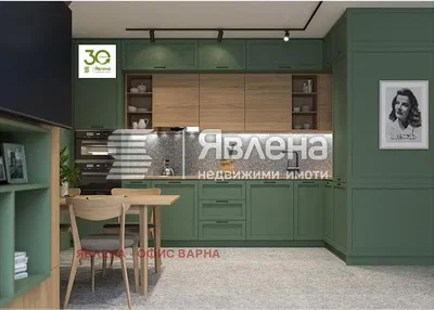 Kuchyně; kuchyňské spotřebiče, moderní styl, po rekonstrukci