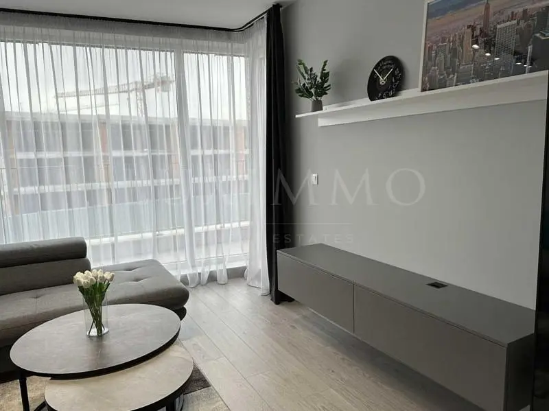 Dnevni boravak; pogled, prirodna svjetlost, moderan stil