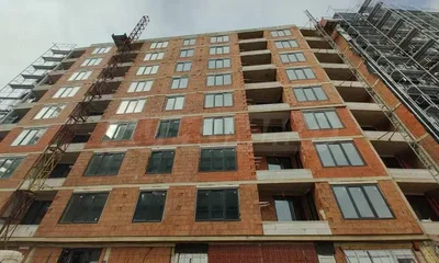 Кућа и околина
