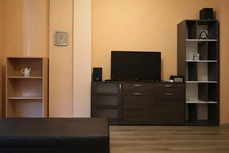 Dnevni boravak; drveni pod, moderan stil