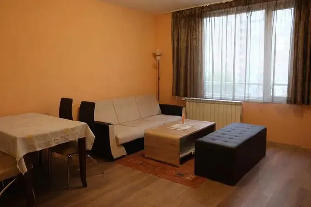 Dnevni boravak; drveni pod, prirodna svjetlost