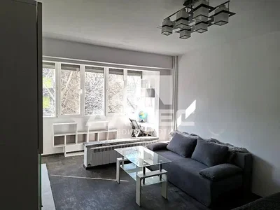 Dnevni boravak; prirodna svjetlost, moderan stil