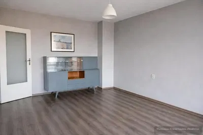 Dnevni boravak; drveni pod, prirodna svjetlost