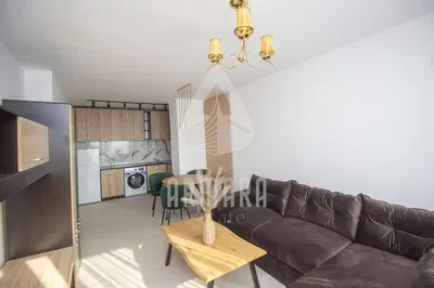 Dnevni boravak; pogled, prirodna svjetlost, moderan stil