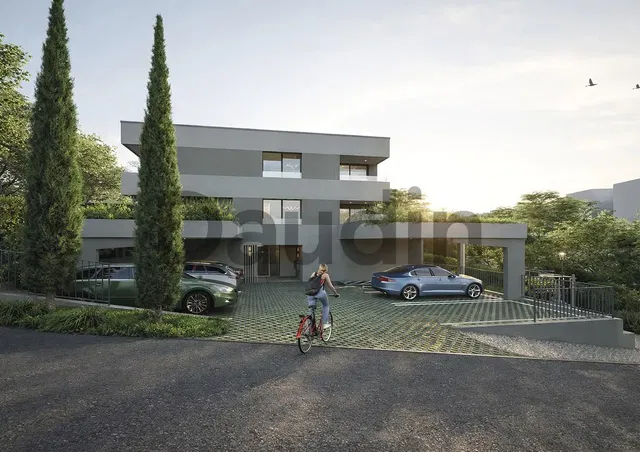 House and surroundings; view