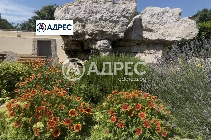 Haus und umgebung; blick, tageslicht